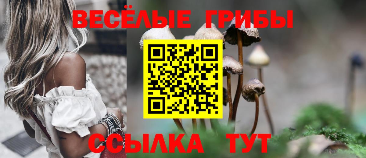 Нерюнгри  Галлюциногенные грибы Magic Shrooms  Вход с VPN 