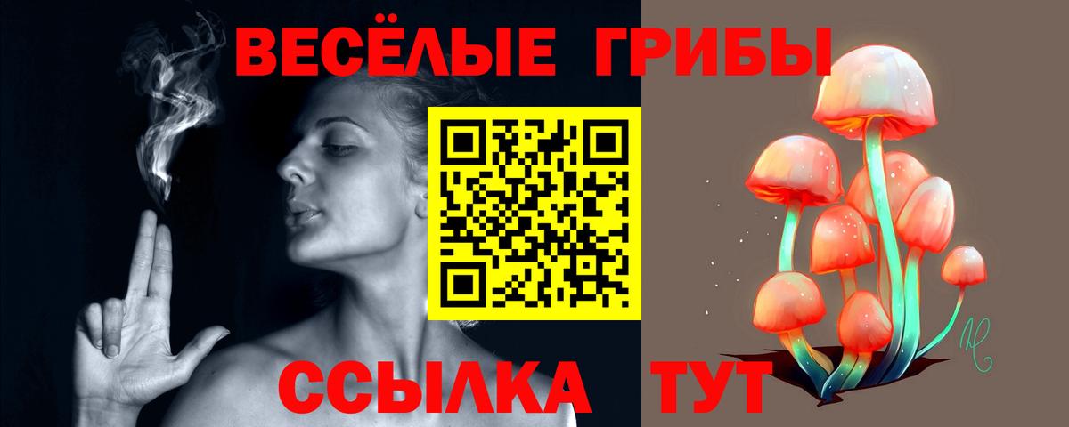 Псилоцибиновые грибы GOLDEN TEACHER Нерюнгри